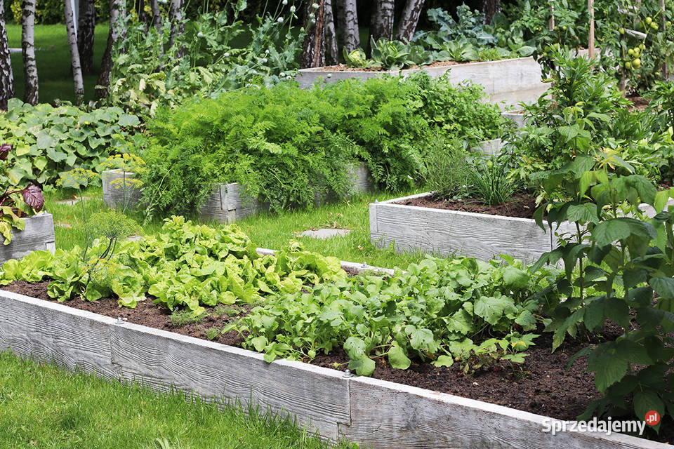 Warzywnik betonowy Skrzynia na warzywa Kielce