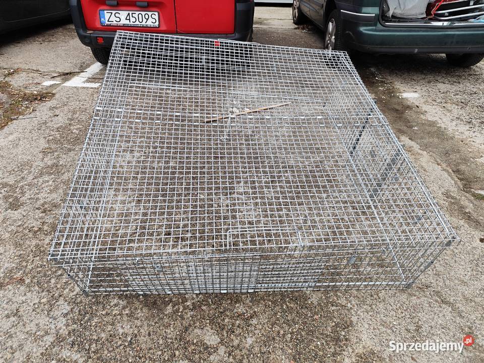 metalowa klatka pułapka na koty