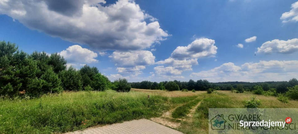 Ogłoszenie grunt 3100m2 Kotowice 3100m2