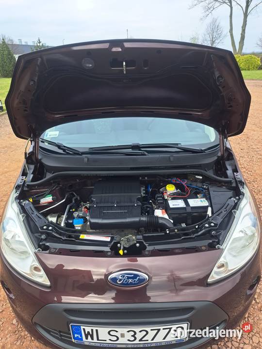 Ford Ka 12 Polski Salon 2015r KA Siedlce