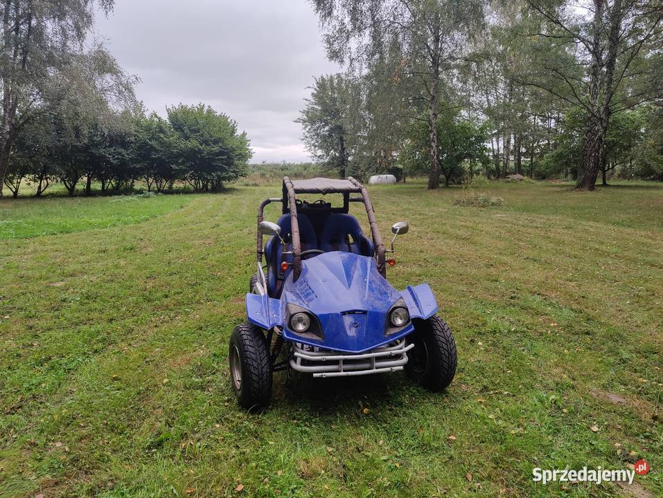 Buggy 250 Pozostałe Poniaty Wielkie