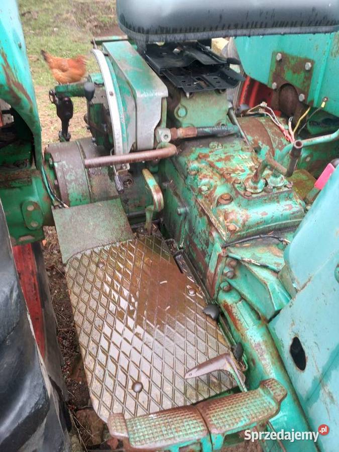 Deutz D55 c360 traktor zabytkowy zabytek kujawsko-pomorskie Toruń