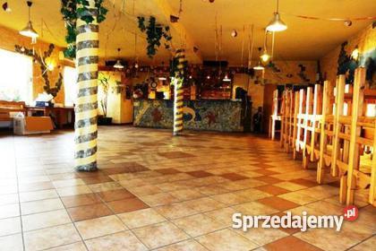 Dom Głogów Serby Główna 5 400 m2 dolnośląskie