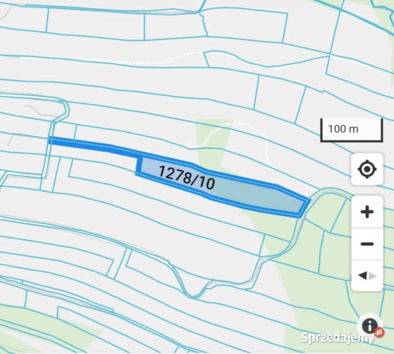 Działka w Lipnicy Dolnej 99 arów Sprzedaż Lipnica Dolna sprzedam