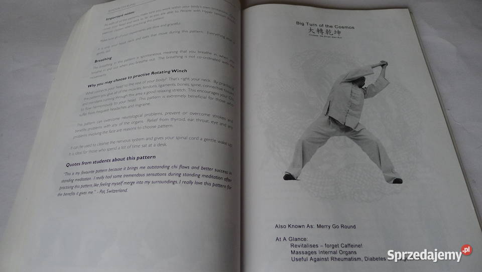 SANTER Shaolin Chi Kung 18 Exercises RARE Luohan Radom