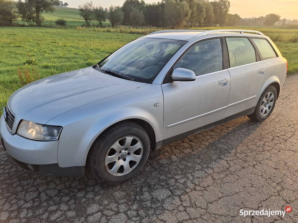 A4b6 19 131koni 1 wł Zdrowy Proszowice