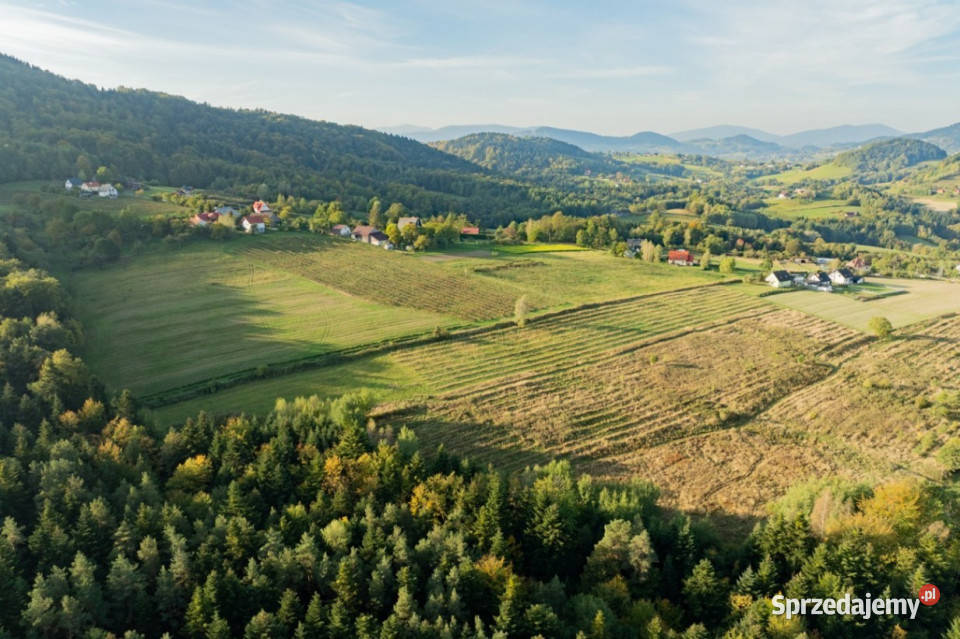 Działka budowlana na sprzedaż Kamionna Trzciana