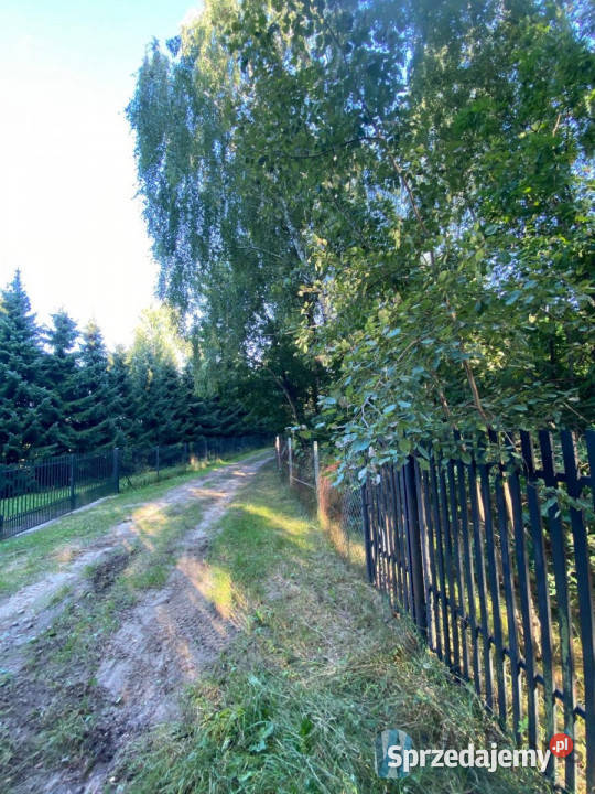 Grunt Niemianowice 1322 metry Sprzedaż