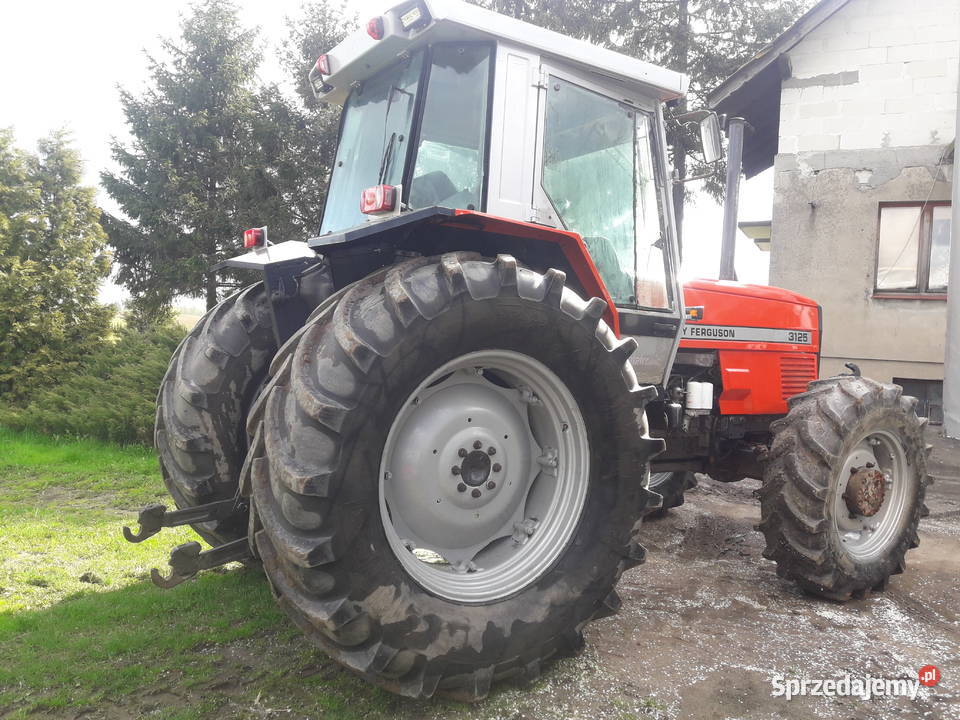 Massey ferguson Massey Ferguson Brodnica