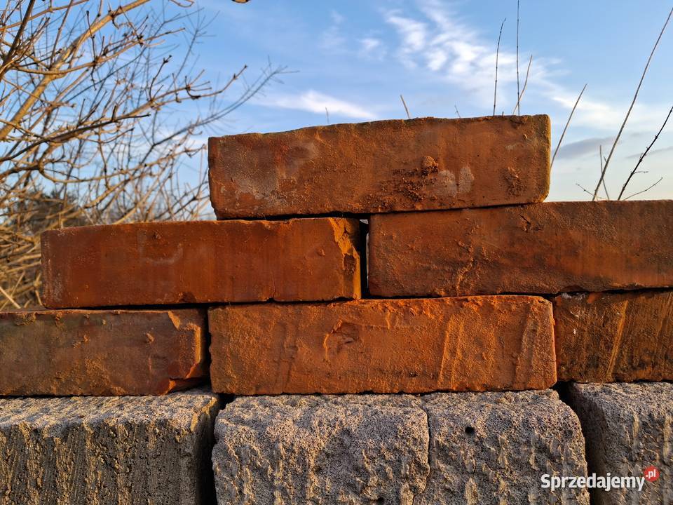 Cegła czerwona kilka Sztuk