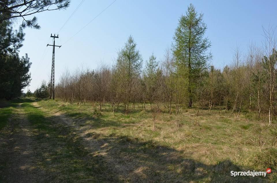 działki rekreacyjne