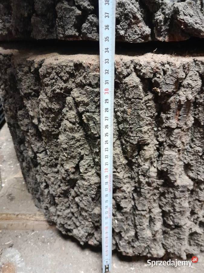 Plastry dębowe 60 różne grubości lite drewno Pozostałe Dąbrowa Górnicza