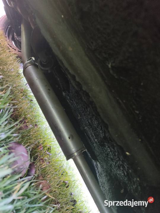 Volvo pv 544 B18 Wołów