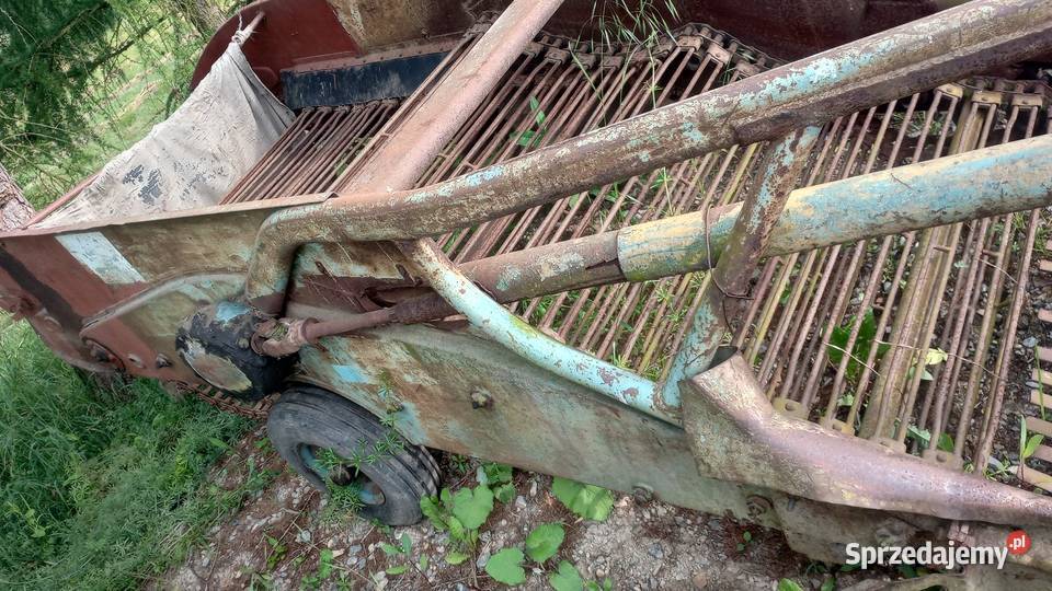 Kopaczka elewatorowa do ziemniaków Skała