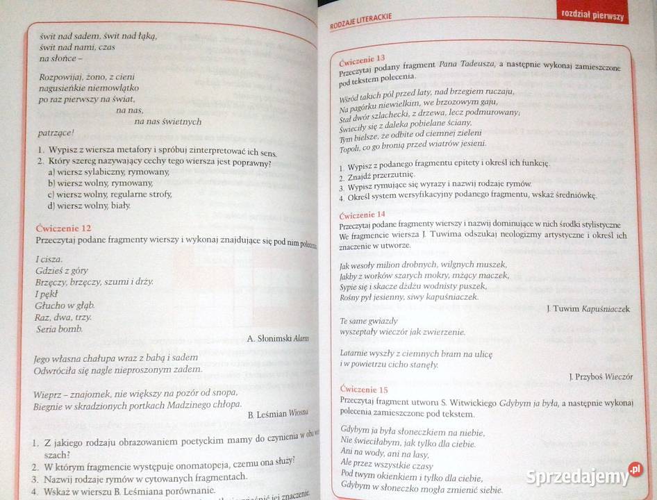 analizować i interpretować wiersze Grażyna