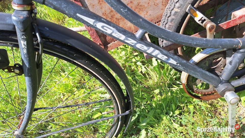 Rower retro Gazelle Koninkluge dieren Konin