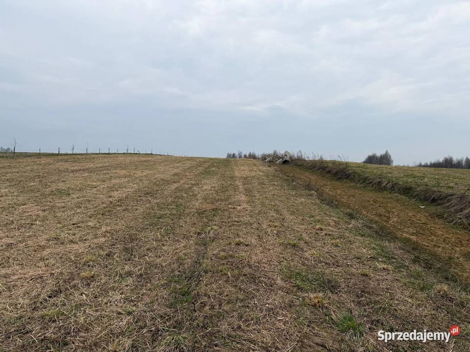 Na sprzedaż działka rolna 31 ar Malawa podkarpackie
