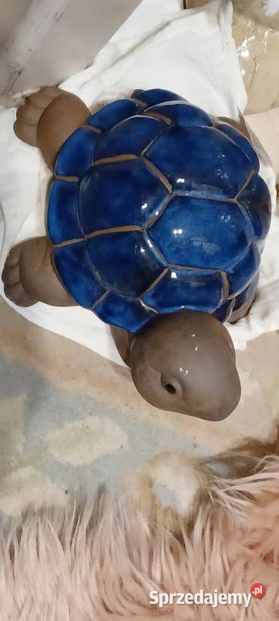 W POZNANIU KUPNO ŻÓLWIA Z GLINY CERAMIKI Środa Wielkopolska