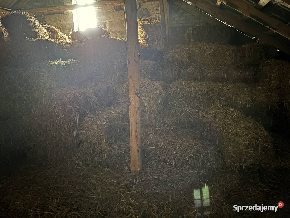 Słoma i siano w kostkach Robertów