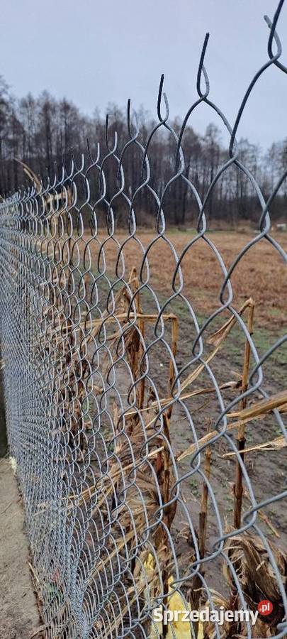 Siatka ogrodzeniowa ocynk łódzkie Radomsko