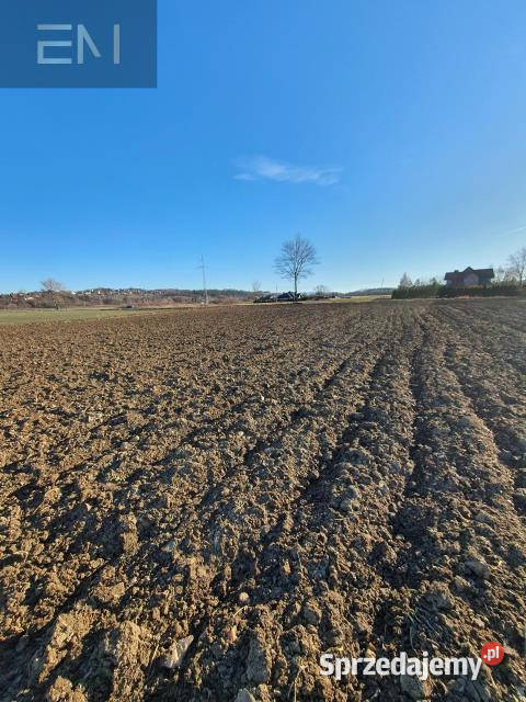 Grunt Dębowiec 3200m2 3200m2 Grunty i działki sprzedam