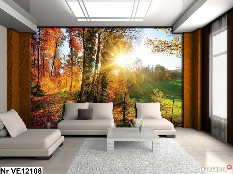 Tapeta fototapeta Piękny las liście