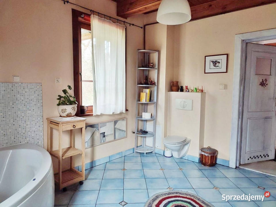 Drewniany dom w małej wiosce w lesie 35 centrum Dębe Wielkie