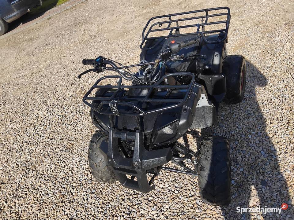 Quad 125 Konina