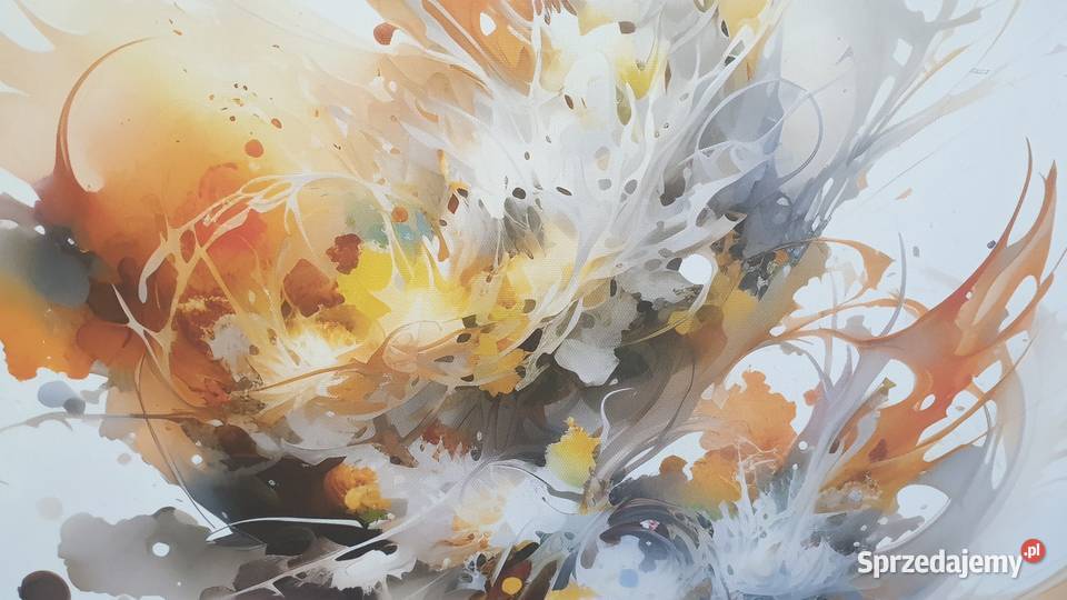 Obraz 50x50 na płótnie sprzedam Gorzów Wielkopolski