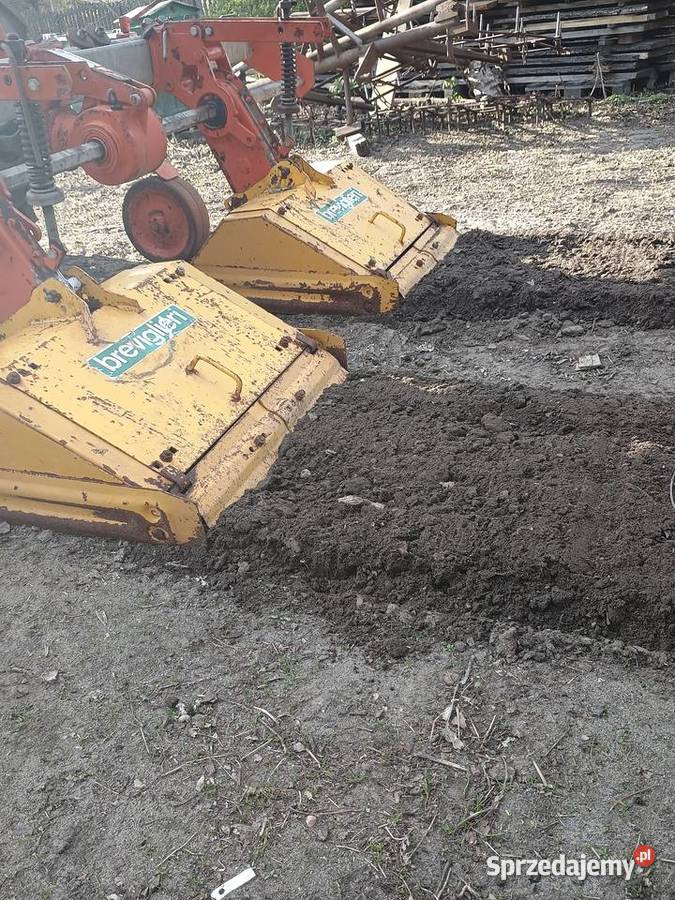 glebogryzarka międzyrzędowa do truskawek łódzkie