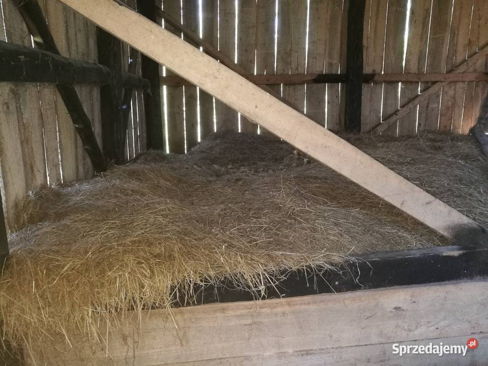 Siano stare 10 Pozostałe Włodawa