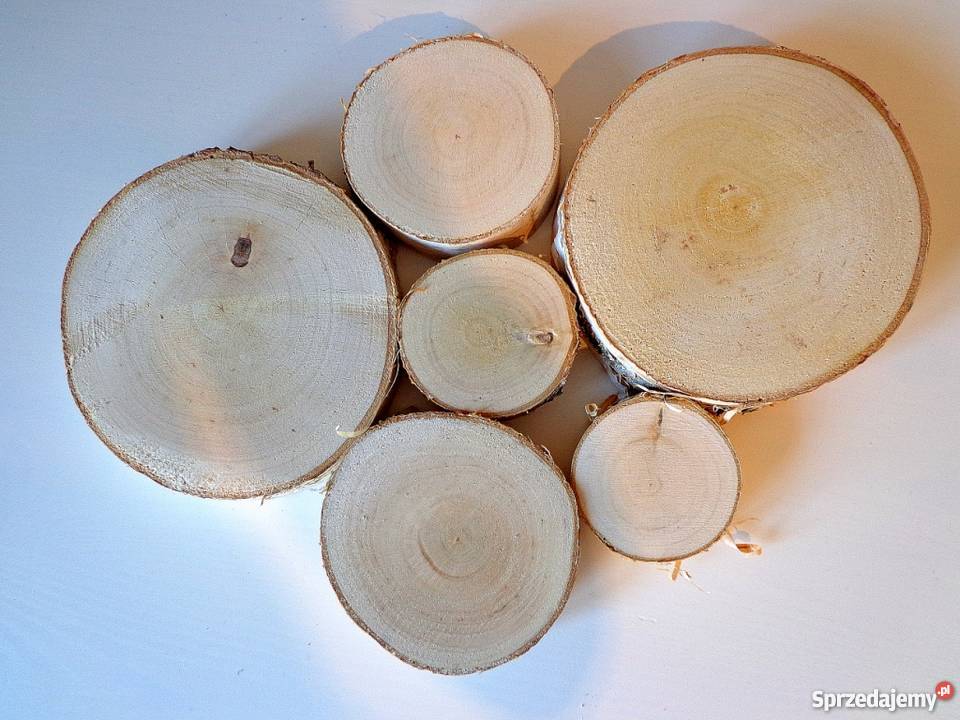 Plastry drewniane brzoza szlifowane 9 11 g12mm Rybnik