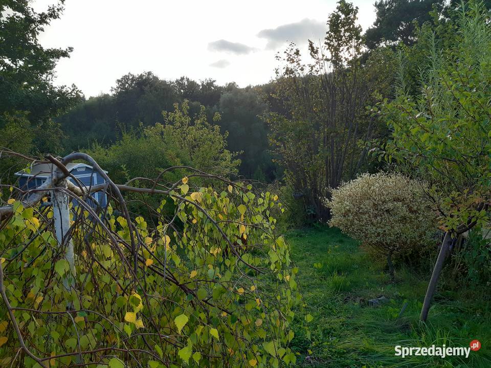 Działka ROD pomorskie Gdańsk sprzedam