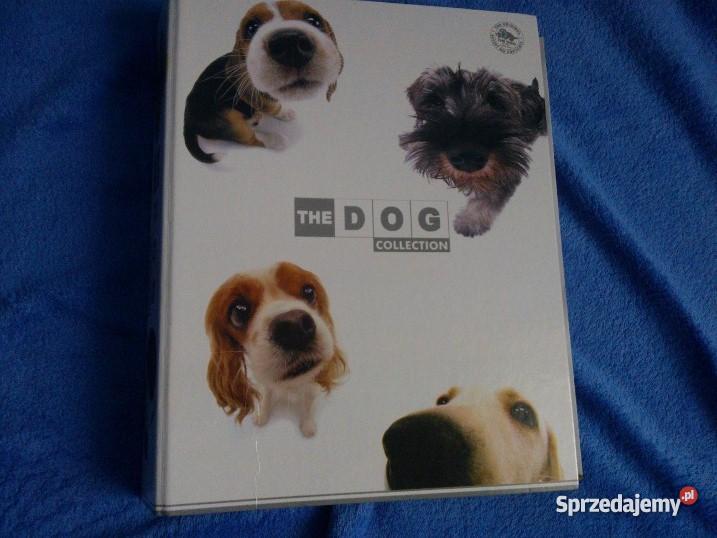 kolekcja THE DOG Poznań sprzedam