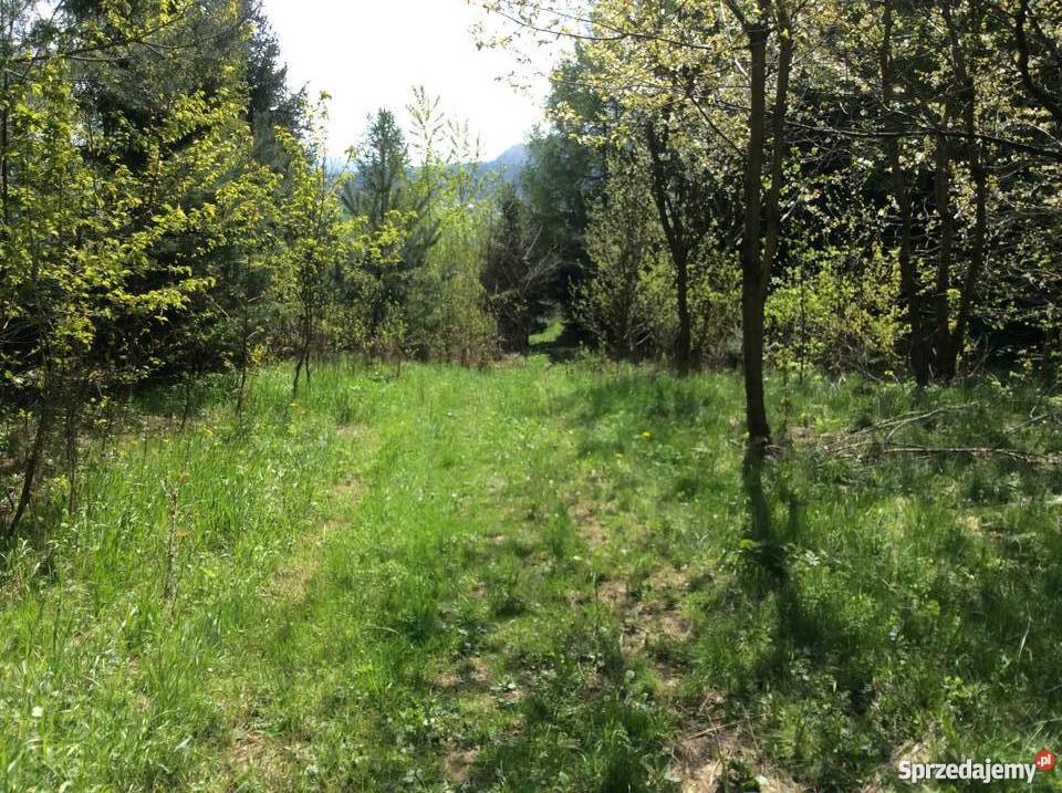 Uroczy dom drewniany w zacisznym miejscu małopolskie Lipinki sprzedam