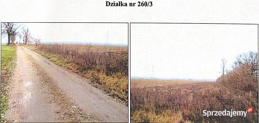 SYNDYK SPRZEDA DZIAŁKĘ łódzkie Lubianków sprzedam