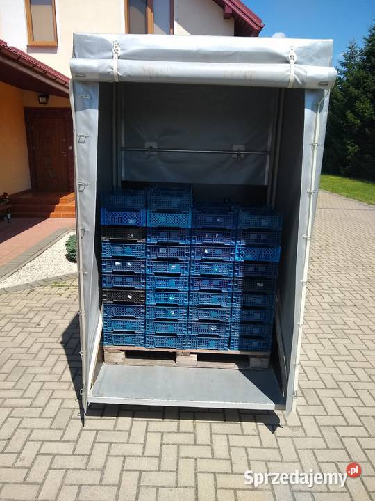 Skrzynia skrzyniopaleta do transportu borówki mazowieckie Zbuczyn