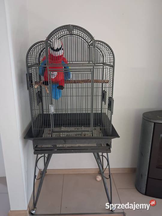 Klatka Monatna Havana Pszczyna