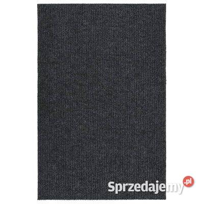 vidaXL Dywanik pochłaniający zabrudzenia 100x150 Dywany i dywaniki Warszawa