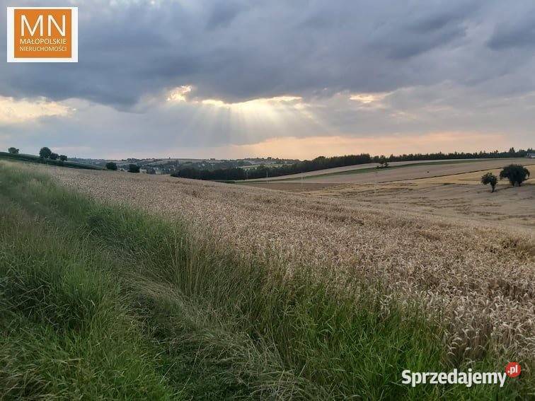 Dom wolnostojący Januszowice 100m2 Sprzedaż małopolskie sprzedam