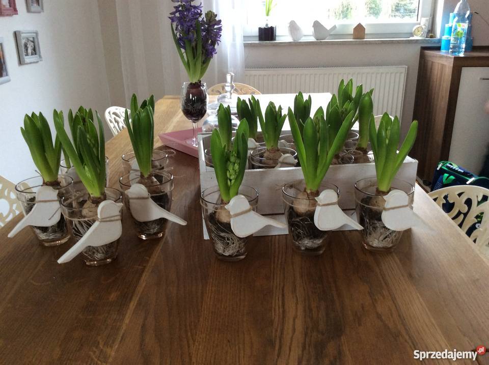 Napisy Ozdoby Dekoracje z drewna i sklejki Wieluń