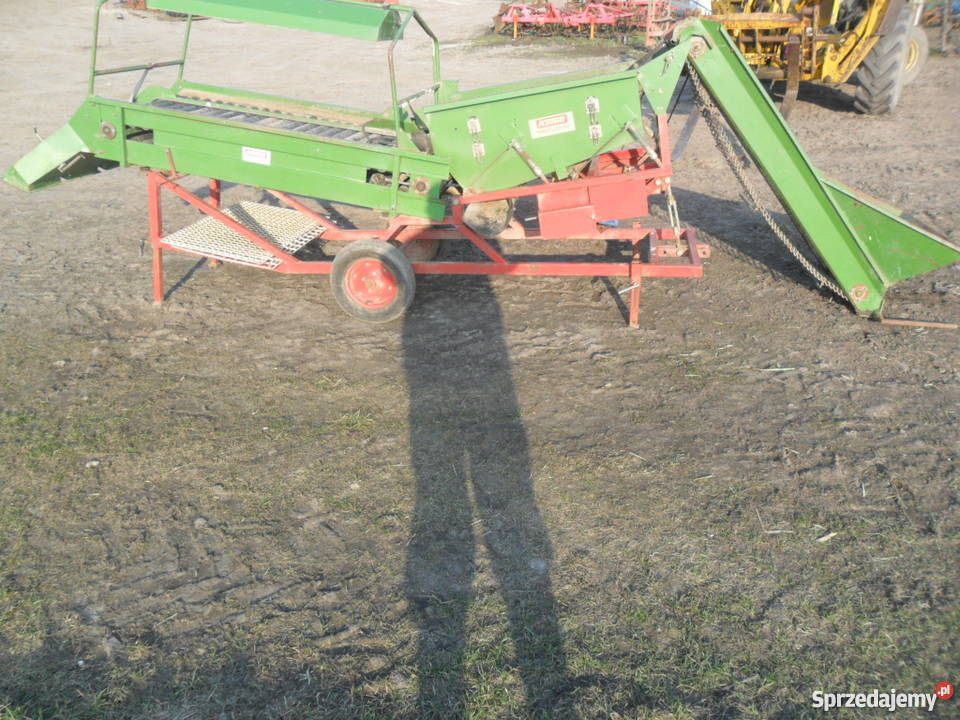 sortownik do ziemniaków cebulu remprodex Brodnica