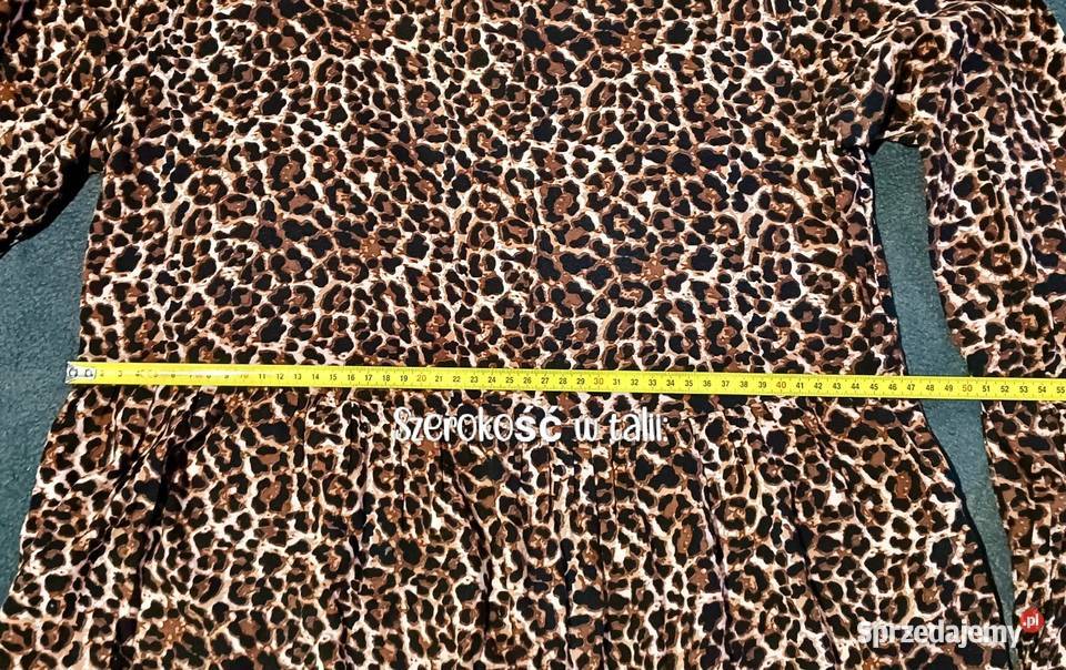 Sukienka w panterkę Toruń