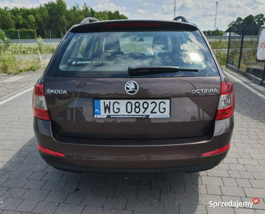 koda Octavia III 2013 Lipówki