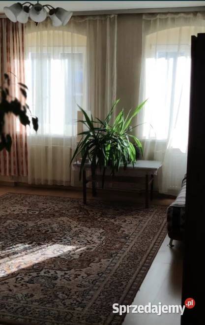 2pok 62met Trzebnickiej ROZKŁADPIWNICA Wrocław dolnośląskie sprzedam