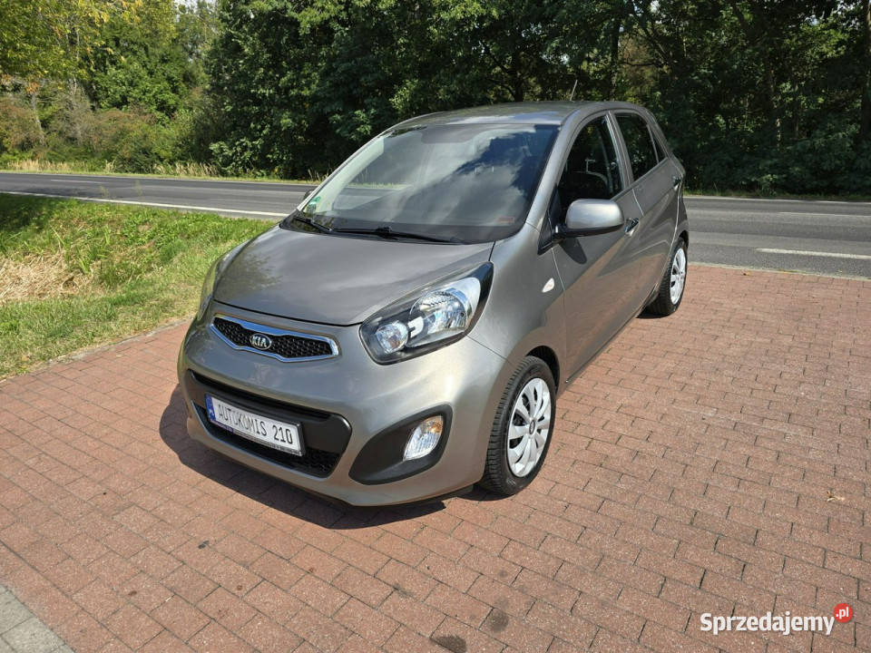 Kia Picanto Kia Picanto 10 benzynka z niskim 998cm3 Cielcza