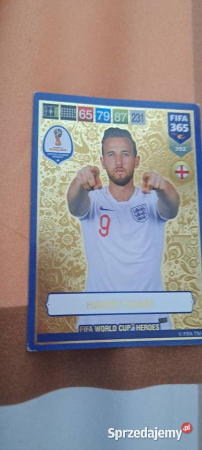 Karta panini Harry Kane Pozostałe