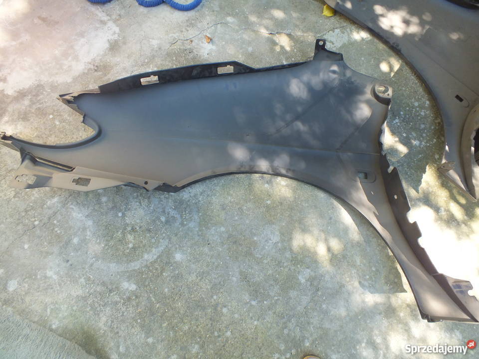 Błotniki Renaul senni wielkopolskie