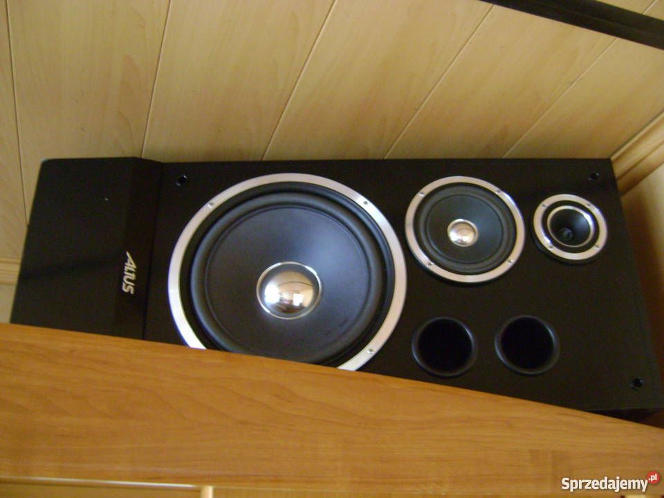 kolumny altus 300 Jastrzębie-Zdrój