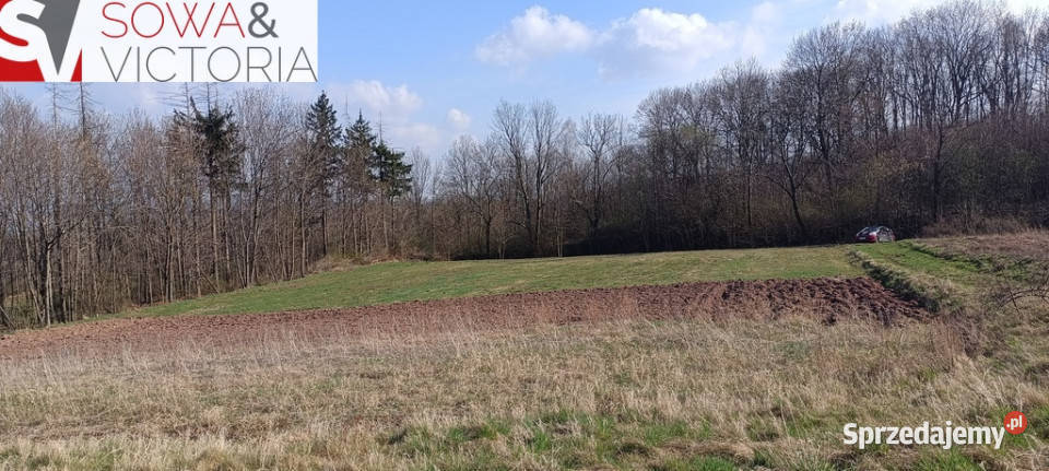 Piękna otoczona lasem działka w Dobromierzu utwardzona Dobromierz